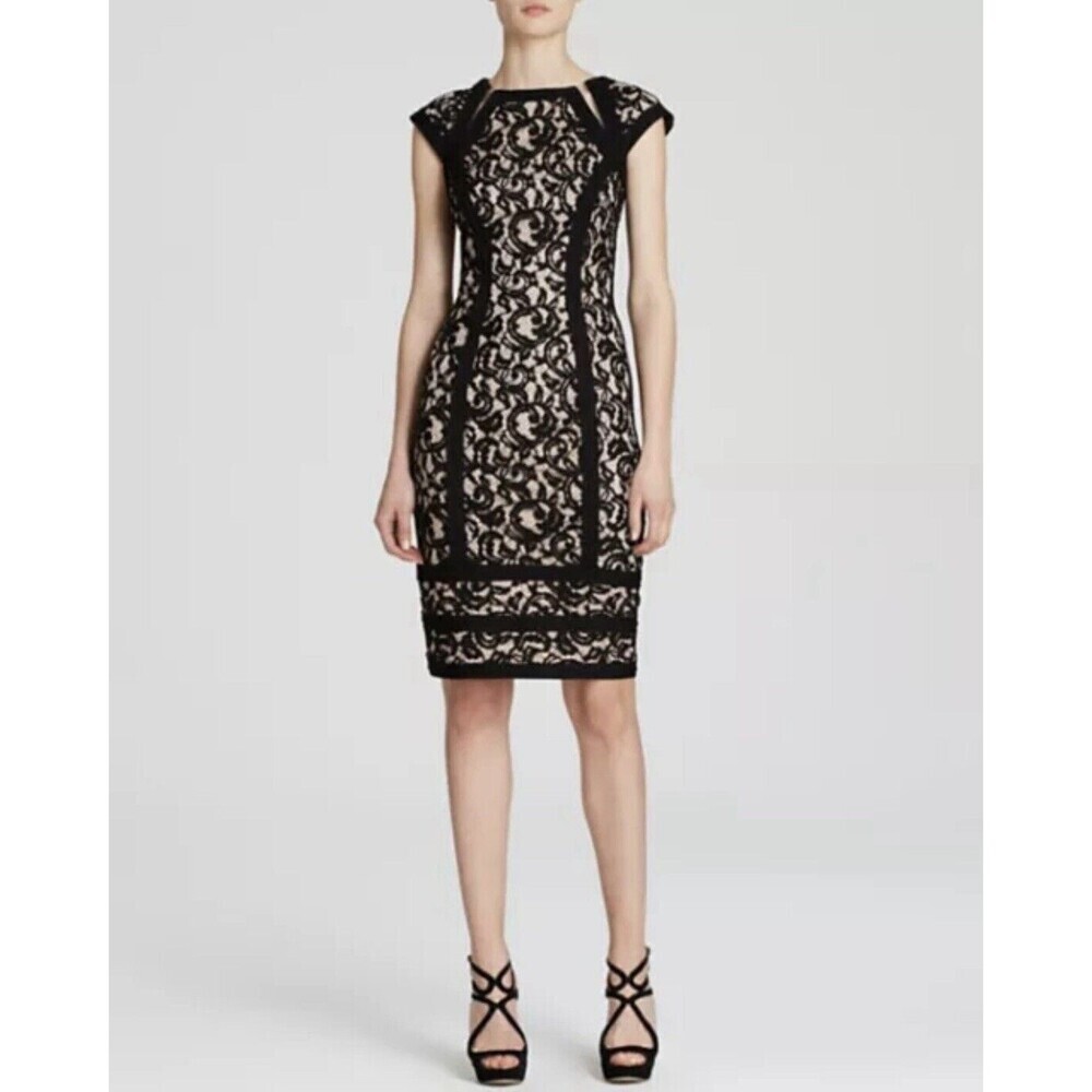 Tadashi Shoji Embroidered Lace Sheer Inset Pintuck Black Primrose Dress Size 4